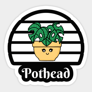 Pothead with Monstera Plant in White Sticker